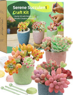 Microland Air Dry Clay Art Set Fake Succulents Flower Making Kit Adult Arts and Crafts for Women Creative Craft Kits for Teens DIY Mini Plant Crafting Set Crafty Flower Gift Artist Gift for Mother Fun