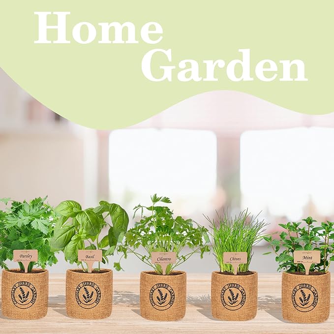 Herb Indoor Garden Kit- Unique Chrismas Herb Gardening Gift, Home Kitchen Gift for Mom, Friends, and Gardeners (Basil, Parsley, Chives, Cilantro, Mint)