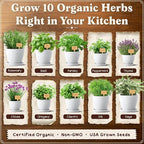 Seedboy Organic 10 Herb Garden Starter Kit for Planting Indoor or Outdoor, Non-GMO USDA Certified Seed, Cool Unique Gift for Gardeners, Mom Birthday, Friends, Plant Lovers (Herb Garden Starter Kit)