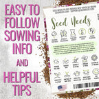 Seed Needs Heirloom Alyssum Flower Seed Packet Collection Variety Pack (Includes 4 Packets) Basket of Gold, Royal Carpet, Dwarf Pink & Carpet of Snow - Perfect for Rock Gardens