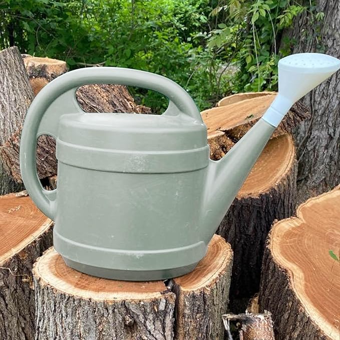 Standard Watering Can - Plant Watering Can - Small Plastic Garden Water Pot for Indoor Outdoor Plants Flowers by The HC Companies, 2 Gallon, Cool Gray