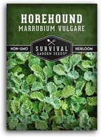 Survival Garden Seeds - Horehound Seeds for Planting - 1 Packet with Instructions to Plant and Grow Beneficial Marrubium Medicinal Herbs in Your Home Vegetable Garden - Non-GMO Heirloom Variety