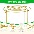 6 Pack Peony Cages and Supports, 12'' x 20'' Metal Removable Grid Flower Support Cage Set, 4-Leg Outdoor Plant Stake for Garden Peonies Tomato Hydrangea Strawberry (Gold)