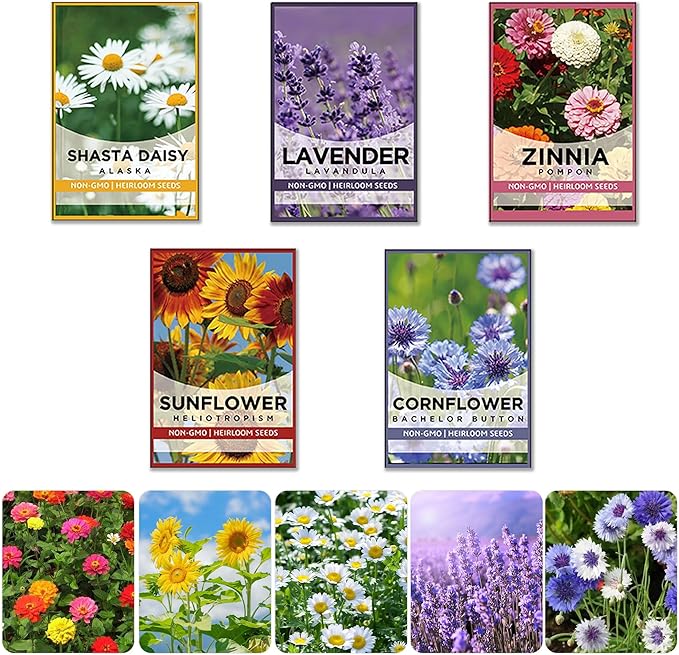 Meekear 5 Kit - Growing into Shasta Daisy, Cornflower, Sunflower, Zinnia, Lavender for Indoor Outdoor Garden DIY Gifts