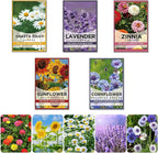 Meekear 5 Kit - Growing into Shasta Daisy, Cornflower, Sunflower, Zinnia, Lavender for Indoor Outdoor Garden DIY Gifts