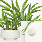 GnFlus Artificial Bamboo in White Ceramic Potted Fake Bamboo Plant-Faux Tree in Pot for Farmhouse Home Living Room Desk Indoor Outdoor Decor