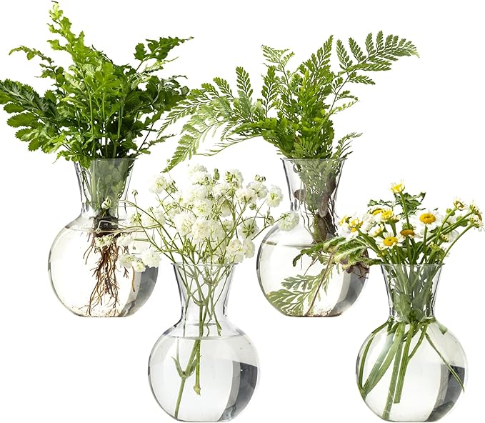 Plastic Propagation Vases (4 Bulbs),Desktop Plant Terrarium for Indoor Plants - Hydroponics Containers for Home Office Desk Decor, mini Gardening Gifts for Women Who Love Plants (4PCS)