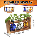 Plant Terrarium Propagation Stations Hydroponics Halloween Skull Planter Vase Skulls Decor with Wooden Stand Gift for Father