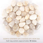 5 lbs Approx. 25 White River Rocks Stones for Plants Pebbles for Indoor Plants | Aquarium Fish Tank Rocks | Polished Decorative Rocks for Vases (2-3 Inches)