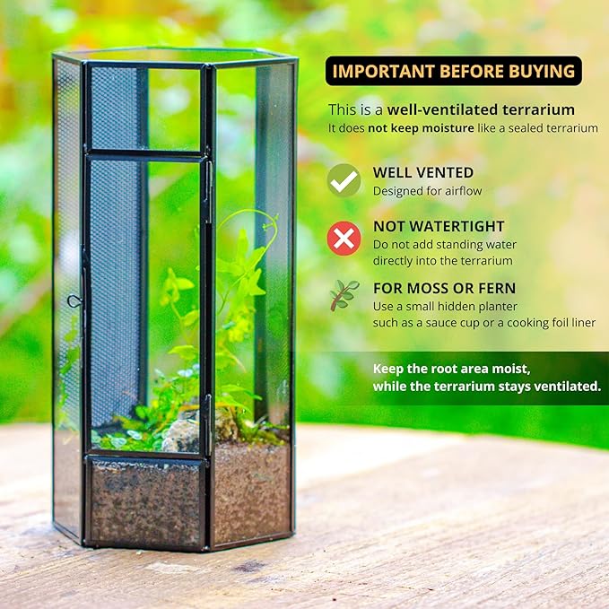 NCYP Small Glass Terrarium with Mesh and Door for Spiders, Hexagon Shape Small Mantis Vented Glass Terrarium 4.9'' x 4.3'' x 9.4'', Tabletop Decor, Black (Plants Not Include)