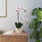 Mikasa Artificial Orchid in Pot, Real Touch Phalaenopsis Orchid, Faux Aged Cement Pot, 22-Inch Double Branch, White/Pink