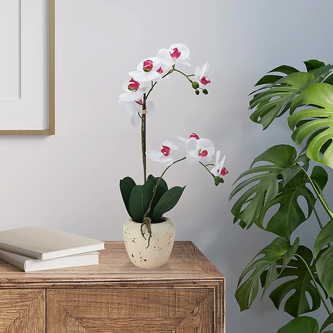Mikasa Artificial Orchid in Pot, Real Touch Phalaenopsis Orchid, Faux Aged Cement Pot, 22-Inch Double Branch, White/Pink