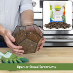Soil Sunrise Terrarium Potting Soil Mix (8 Quarts) w/Blended Filtering Charcoal Custom Made for Terrariums