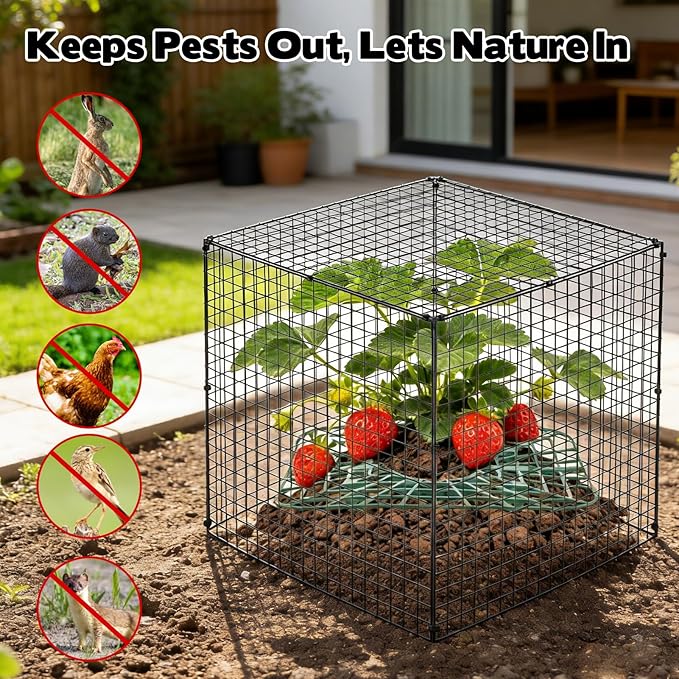 6 Set Upgraded Strawberry Protection Supports with Wire Plant Protectors from Animal Sturdy Metal Wire Plant Cages Mesh Plant Cover Strawberry Growing Racks Planting Stand for Garden,12 Inch Square