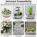 River Rocks,Landscaping Pebbles,Decorative Ornamental Pebbles,Garden Landscaping Stones,Gravel Filler for Home Decoration Flower Bed Fish Tank Plants Vases Succulents (Natural, 10 Pounds)