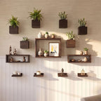 LaLaGreen Wooden Floating Shelves (13-Piece Set) Wall Mounted Plant Shelf, Planter Boxes for Indoor Plants, Decorative Wood Display Shadow Box Kitchen, Bathroom, Bedroom, Living Room, and Home Decor