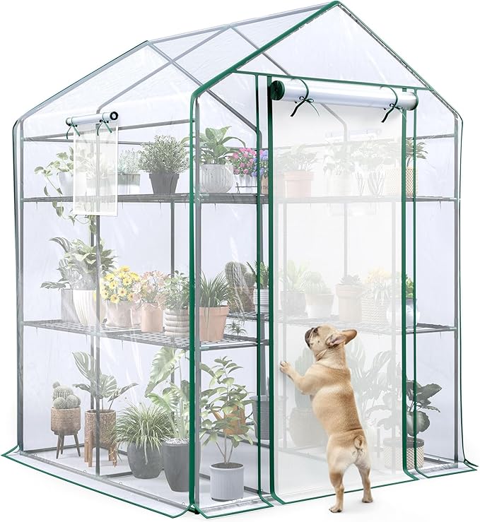 Quictent Essential Walk-in Greenhouse for Outdoors, 56x56x77 inch Portable 3-Tier 4-Shelf Garden Hot House Kit with Plastic Cover for Winter Seed Starting Plant Protection Backyard Patio, Clear