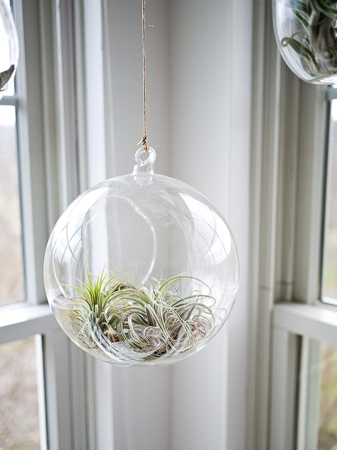 WGV Hanging Terrarium Globe, Width 8", Height 9", DIY Air Succulent Planter, Clear Glass Vase Orb with Flat Bottom, Candle Holder for Windowsill Outdoor Garden Decor, 1 Piece