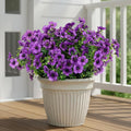 CEWOR 12 Bundles Artificial Flowers for Outdoor Indoor, Fake Silk Daisy with Eucalyptus Leaves, Faux Flower for Garden Front Door Porch Planter Patio Home Decor (Deep Purple)