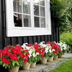 CITYES 4 Pcs Artificial Flowers Outdoor Impatiens UV Resistant Silk Impatiens Flowers Red Faux Flowers Impatiens Bushes Artificial Impatiens for Pot Patio Lawn Garden Hanging Basket Porch Decor