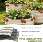 SHALL 8PC Galvanized Raised Garden Bed Kit, 3Pc 2x2x1ft Round Planter Boxes Outdoor W/Mini Seed Spreader, Disk Seeder, 2X Seeding Transplanters, Protective Gloves for Flowers Fruits Vegetables Herbs