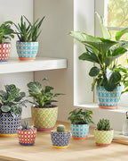 Metahom Succulent Ceramic Pots, 3.8 Inch Small Plant Pots with Drainage Hole & Saucer, Flower Planter Pot for Houseplants, Cacti, Home Decor, Set of 4, Vibrant Colors