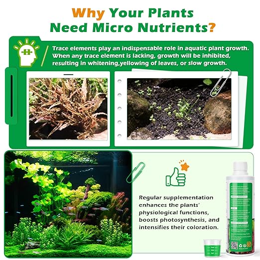 HC035 All-in-One Liquid Aquarium Plant Fertilizer - with Essential Micro & Macro Nutrients for Freshwater Planted Tanks, 150ml/500ml/1000ml (500mL)