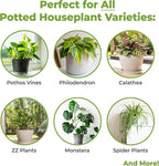 Perfect Plants Indoor Plant Soil 8qt | Perfectly Balanced Potting Mix | Gardening Substrate for All Varieties of Live houseplants (Pack of 2)