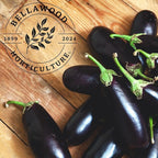 Classic Eggplant Live Plants 6-Pack – Garden-Ready Eggplant Plants for Raised Beds, Containers, or Outdoor Gardens – 2–5” Transplant-Ready Plug Plants
