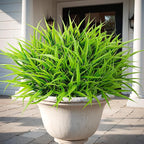 16 Pcs Artificial Plants Outdoor Fake Grass Faux Greenery Stems UV Resistant Plastic Plants Shrubs for Planters Patio Garden Front Porch Pathway Spring Summer Home Decor, Green