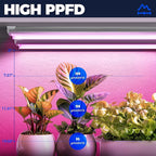 Barrina LED Grow Light, 252W(6 x 42W) 4ft T8, Full Spectrum, V-Shape with Reflector, Linkable Design, Plant Lights for Indoor Plants, 6-Pack