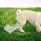 6 PCS Fake Grass Plants Pee Post for Dogs to Pee on, Reusable Puppy Pee Post Training Tool Washable Artificial Eucalyptus Grass for Guiding and Trains Dogs to Urinate, Outdoor Dog Toilet