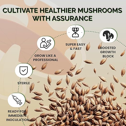 MycoHaus Mushroom Growing Kit with Injection Ports | Sterilized Rye Grain | Magic Indoor Grow Bags for Mushrooms | Home Cultivation Supplies | Without Spores | 1 Pound (18 Pack)
