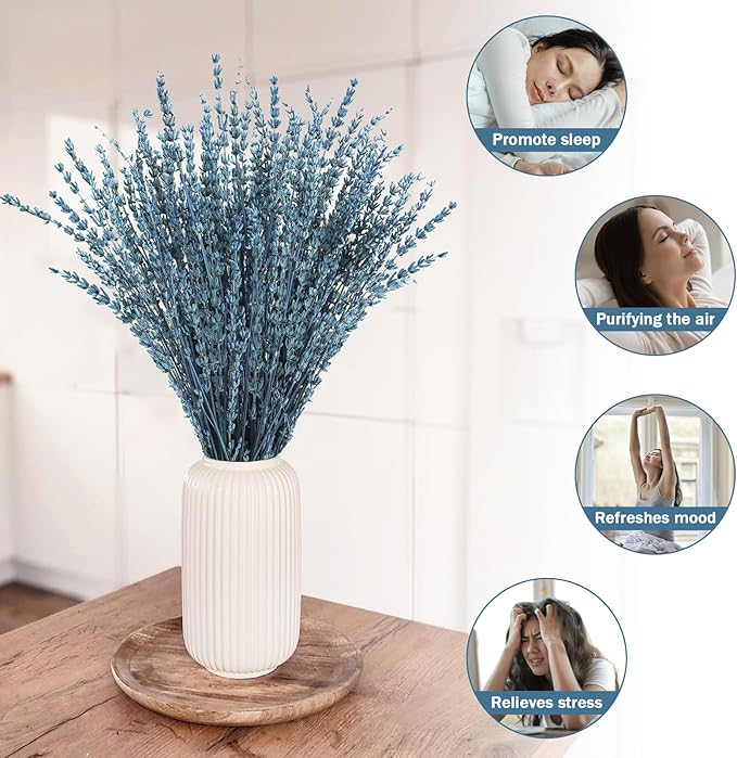 Uieke Dried Lavender Flowers Bundle, 16" Dried Lavender Bouquet Blue Flowers for Shower Weeding Home Fragrance Vase Crafts Decor, 50g(1.76oz)