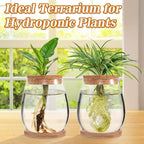 Biggun Plants Propagation Station - 2Pcs Desktop Plant Terrarium Glass Hydroponic Vases, Water Plant Jars, Gardening Gifts for Women Mom Plant Lovers (Water Drop Shape, Separated Tray Style)