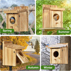 Small Bird House for Hummingbirds,Bird Houses for Outside,Humming Bird Houses for Outside,Outdoor Bird Box,Birdhouse,Bluebird House,Wooden Birdhouse with perches