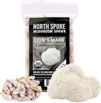 North Spore Organic Lion's Mane (100 ct) Mushroom Plugs for Logs | Premium Quality Mushroom Plug Spawn | Handmade in Maine, USA | Grow Gourmet Mushrooms Outdoors on Logs
