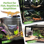 Westant Mushroom Decor for Reptile Tank, Fish Tank, Pet-Safe Bearded Dragon Tank Accessories, Realistic Terrarium Plants for Leopard Geckos, Crested Geckos, Tree Frogs, Snakes (Almond, Shelf Cap)