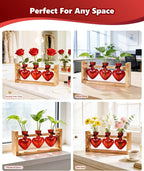 Nacome Plant Terrarium Propagation Stations: Mothers Day Gifts for Mom Plant Lovers Women Wife Daughter - 3 Bulb Glass Vase with Wooden Stand Tabletop for Hydroponics Garden Home Wall Decor(Red)