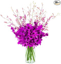 KaBloom - Bouquet of 20 Exotic Purple Dendrobium Orchids from Thailand with Vase - Fresh Flowers for Birthday, Valentine's & Mother's Day
