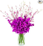 KaBloom - Bouquet of 20 Exotic Purple Dendrobium Orchids from Thailand with Vase - Fresh Flowers for Birthday, Valentine's & Mother's Day