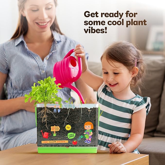Dan&Darci Root Viewer Kit for Kids - Grow Your Own Plant for Boys & Girls Gifts - Science STEM Toy & Craft Growing Kits for Ages 4-8 Birthday Gifts for Boy, Girl 4, 5, 6, 7, 8, Year Old