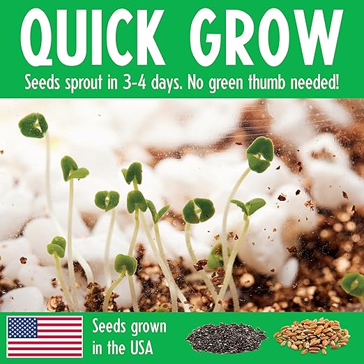 Creativity for Kids Grow N Glow Dinosaur Terrarium Kit | Create, Plant & Grow a DIY Terrarium Kit with Glow-in-the-Dark Stickers & Dino Toys | Spring Crafts & STEM Kit (Ages 6+)