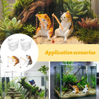 2 Pcs Aquarium Plant Holder, Fish Tank Plant Holder with Transparent Clamp for Cat Aquarium Plant Stand, Anti-Digging Tank Decor for Home Office Use by Fish Keepers with Cats