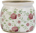 Dosayes Ceramic Pot for Planter, Vintage Red Plum Flower Pot with Drainage Holes, 6.29 inch Ice Crack Glazed Indoor Planters Pot