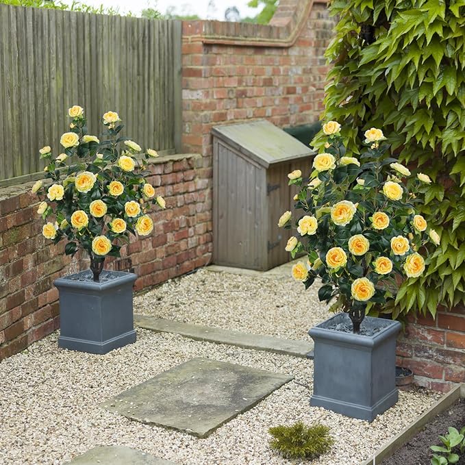 3.6FT Artificial Camellia Fake Tree, Artificial Plants & Flowers with 32 Yellow Flowers for Door Front Decoration Porch Patio Living Room Office Indoor Outdoor Decor (2PCS Contains Faux Moss)