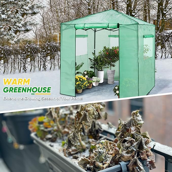 EAGLE PEAK 7x7 Portable Walk in Greenhouse, Pop Up Indoor Outdoor Greenhouse, Green House Kit with Zippered Roll-Up Doors and Windows + Mesh Lining & 2 Foldable Shelves, PE Cover, Clear/Green