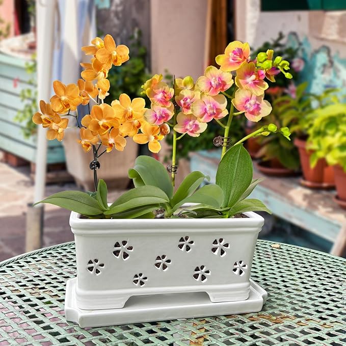 Rectangle Ceramic Orchid Pot with Holes and Saucer 12Inch Ceramic Large Pot Basin for Refilling Indoor and Outdoor Use Air Circulation Orchid Planter for Repotting Planter White