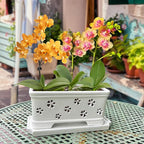 Rectangle Ceramic Orchid Pot with Holes and Saucer 12Inch Ceramic Large Pot Basin for Refilling Indoor and Outdoor Use Air Circulation Orchid Planter for Repotting Planter White