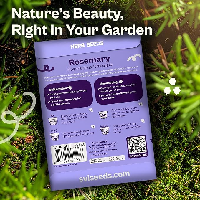 SVI 150 Rosemary Seeds for Planting (Rosmarinus officinalis) – Aromatic Herbs, Harvest for Fresh or Dried Rosemary Leaves – Heirloom Herb Seeds for Outdoor & Indoor Garden, Containers
